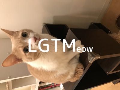 lgtm-cat-image