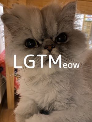 lgtm-cat-image