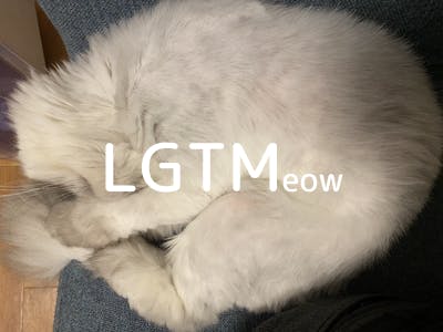 lgtm-cat-image