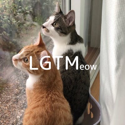 lgtm-cat-image