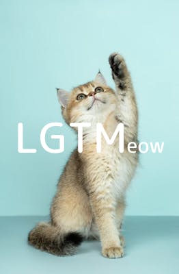 lgtm-cat-image